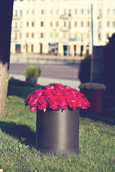 Similar image 13066453