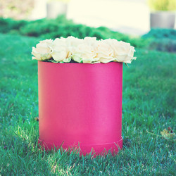 Similar image 13066472