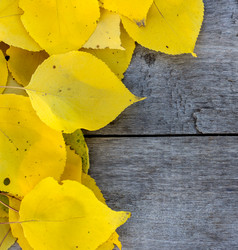 Similar image 13067517