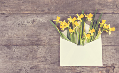 Similar image 13066734