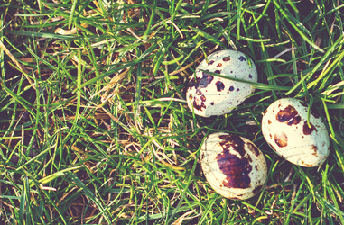 Similar image 13067133