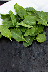 Similar image 13067109