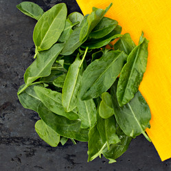 Similar image 13067135