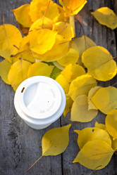 Similar image 13067237