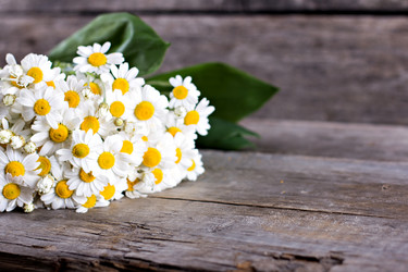 Similar image 13066379