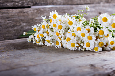 Similar image 13066457