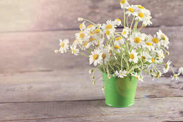 Similar image 13066475