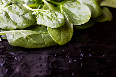 Similar image 13066922