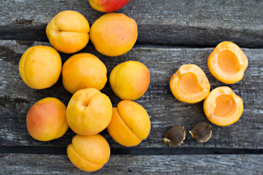 Similar image 13067418