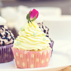 Similar image 13071568