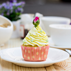 Similar image 13071588