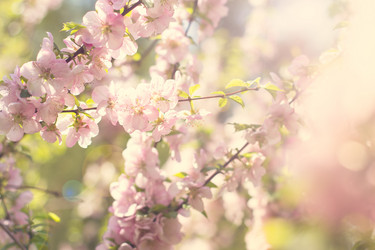 Similar image 13071710