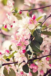 Similar image 13071731