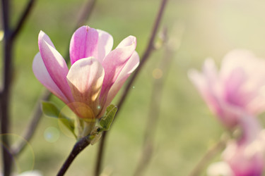 Similar image 13071749