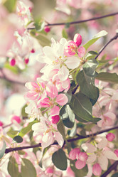 Similar image 13071750