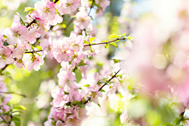 Similar image 13071751