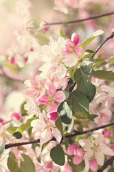 Similar image 13071769