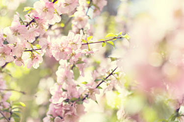 Similar image 13071770