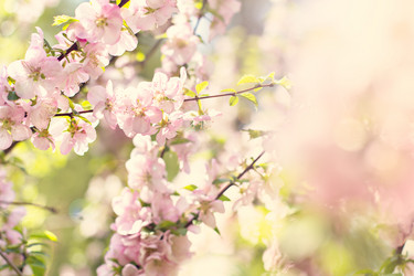 Similar image 13071789