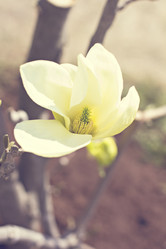 Similar image 13071790