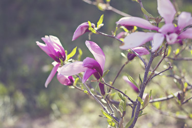 Similar image 13071791