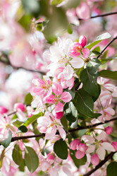 Similar image 13071808