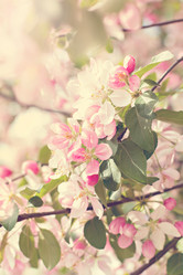 Similar image 13071851