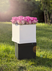 Similar image 13071571