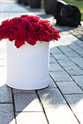 Similar image 13071593