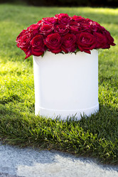 Similar image 13071612