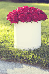 Similar image 13071616