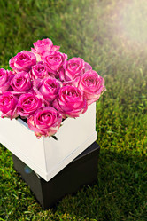 Similar image 13071630