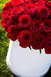 Similar image 13071632