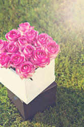 Similar image 13071649