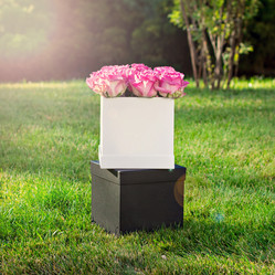 Similar image 13071651