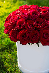 Similar image 13071673