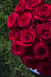 Similar image 13071693