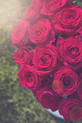 Similar image 13071753