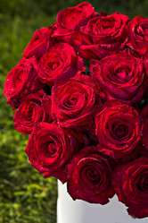 Similar image 13071772