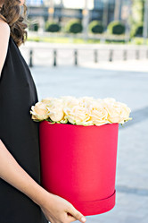 Similar image 13071774