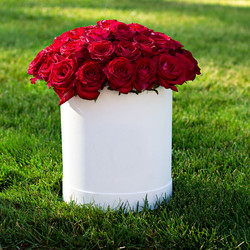 Similar image 13071810