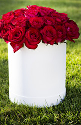 Similar image 13071830