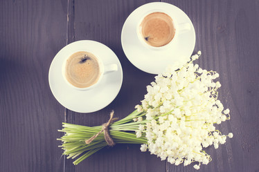 Similar image 13071653