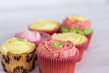 Similar image 13067256