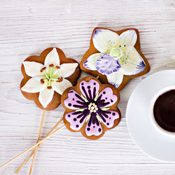 Similar image 13067277