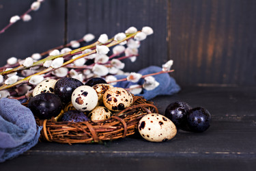 Similar image 13066460