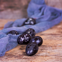 Similar image 13066619