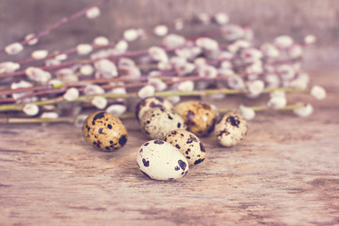 Similar image 13066641