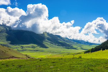 Similar image 13080335