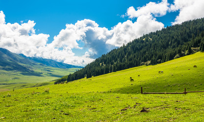 Similar image 13096885